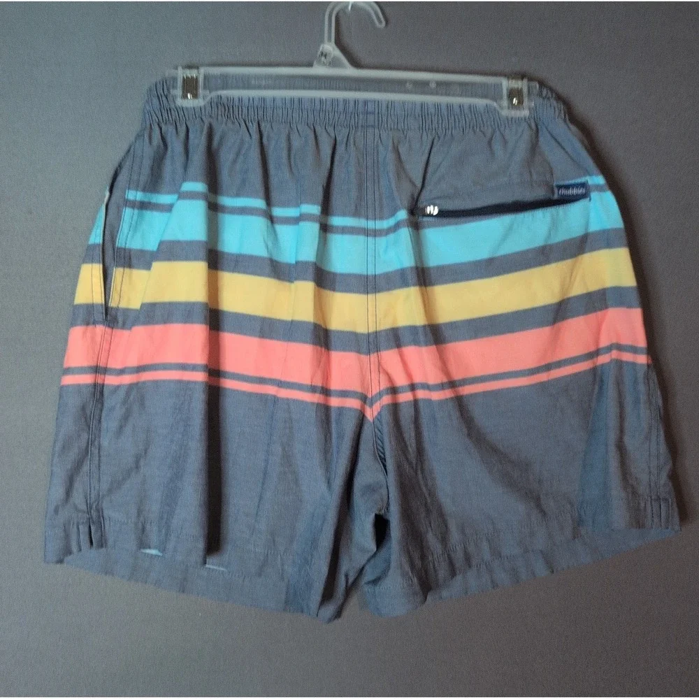 Chubbies Mens Striped Swim Shorts Gray Red Yellow Blue M 5.5 Inseam Mesh Lined
